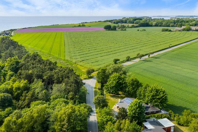 Foto von Ferienhaus CO69 in Langø - Kerteminde - Nordfünen