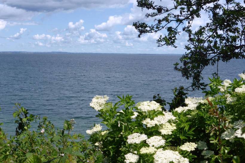 Foto von Ferienhaus CO96 in Mommark - Als