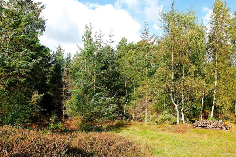 Foto von Ferienhaus CP42 in Dueodde - Bornholm