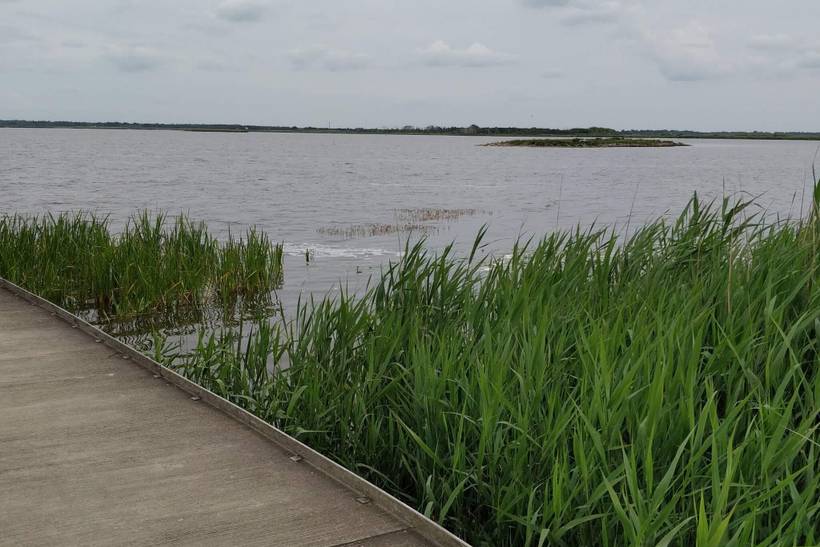 Foto von Ferienhaus CP80 in Henne Strand - Westjütland