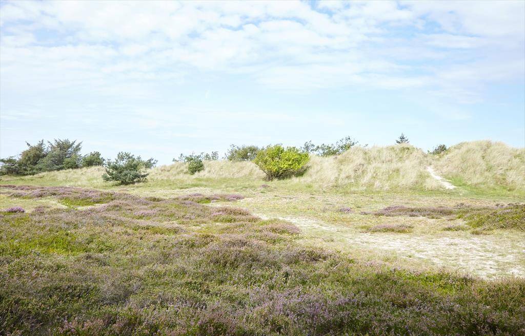 Foto von Ferienhaus CQ46 in Nordstrand - Rørvig - Westseeland
