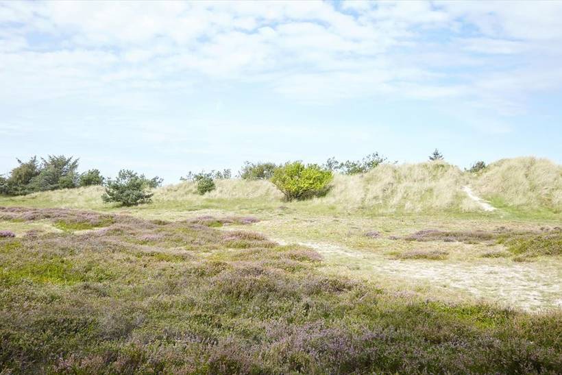 Foto von Ferienhaus CQ46 in Nordstrand - Rørvig - Westseeland