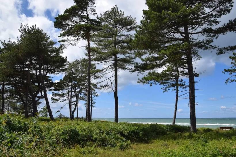 Foto von Ferienhaus CQ89 in Gilleleje - Nordseeland