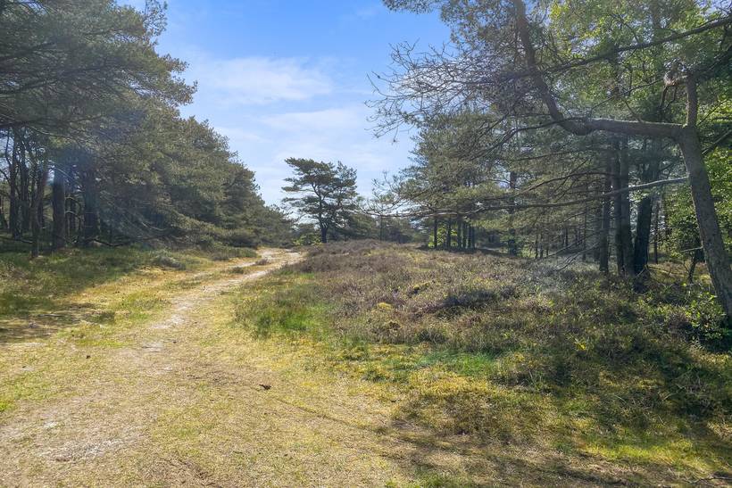 Foto von Ferienhaus CR14 in Sønderstrand - Rømø