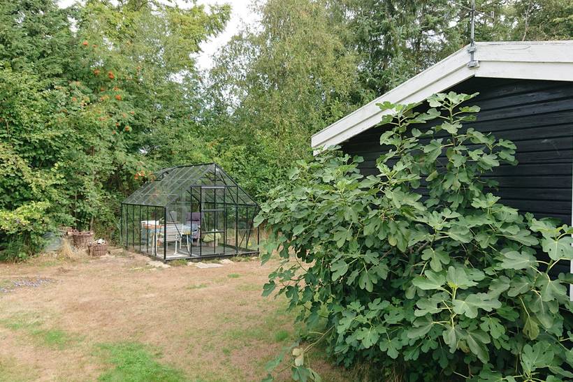 Foto von Ferienhaus CS21 in Gedesby - Falster
