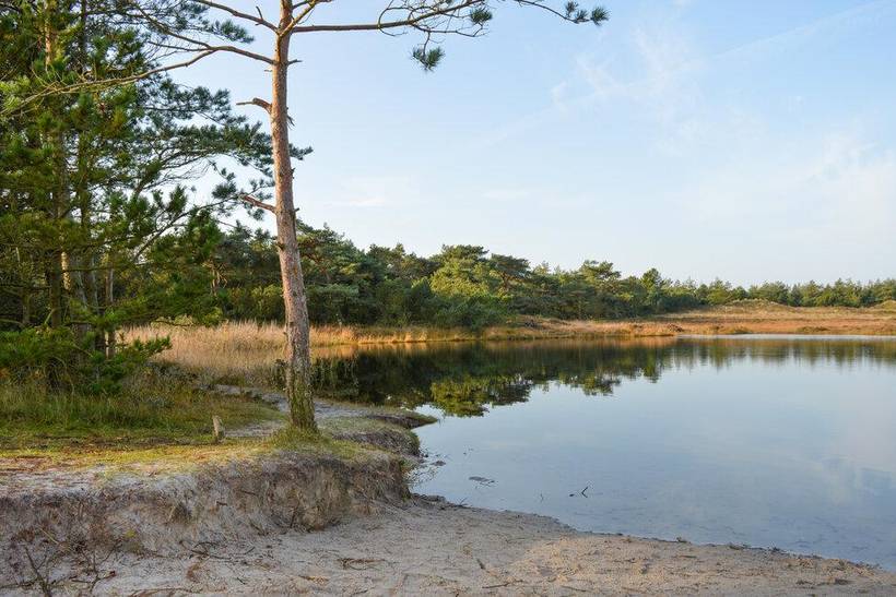 Foto von Ferienhaus CS31 in Kongsmark - Rømø