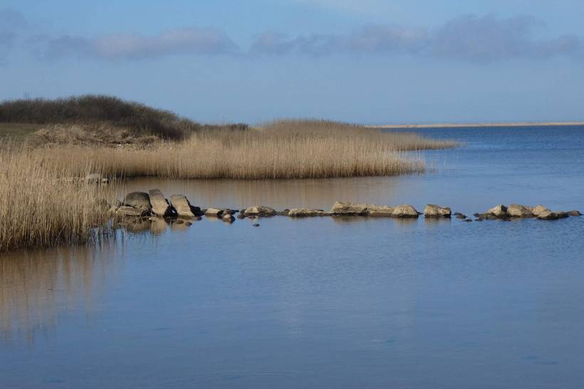 Foto von Ferienhaus CS73 in Bork Havn - Westjütland