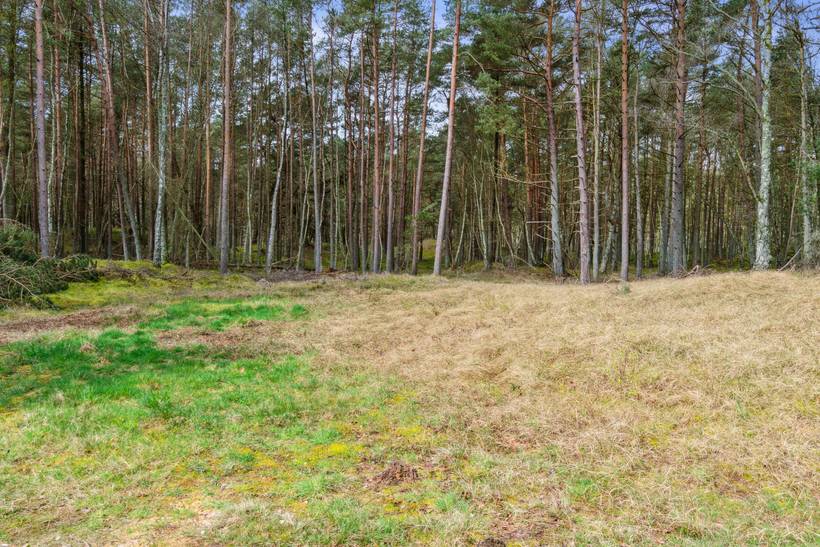 Foto von Ferienhaus CT39 in Dueodde - Bornholm
