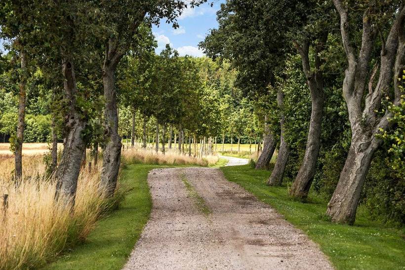 Foto von Ferienhaus CT41 in Fjellerup - Ostjütland