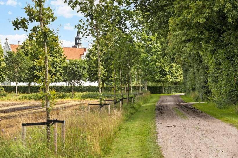 Foto von Ferienhaus CT41 in Fjellerup - Ostjütland