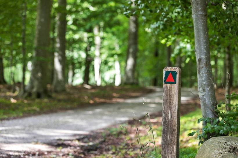 Foto von Ferienhaus CT41 in Fjellerup - Ostjütland