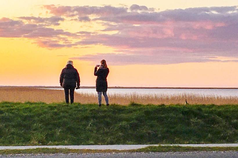 Foto von Ferienhaus CT51 in Bork Havn - Westjütland
