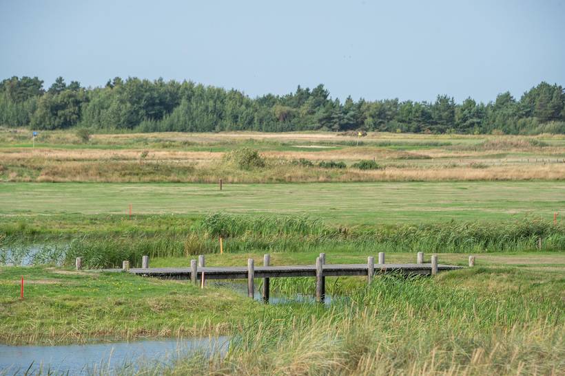 Foto von Ferienhaus CT63 in Havneby - Rømø