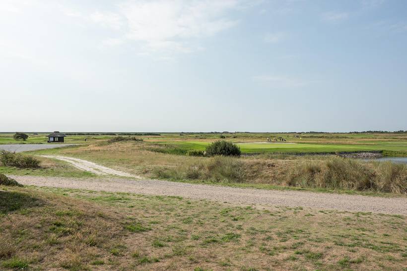 Foto von Ferienhaus CT63 in Havneby - Rømø