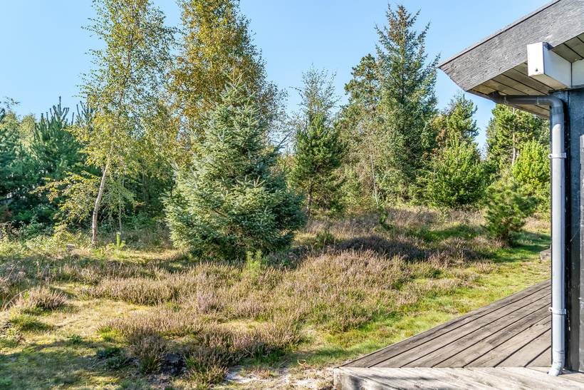 Foto von Ferienhaus CT74 in Hou - Nordjütland Ost
