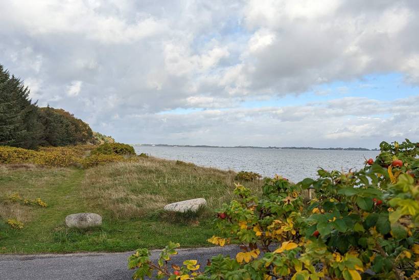 Foto von Ferienhaus CT87 in Serup - Thy/Limfjord
