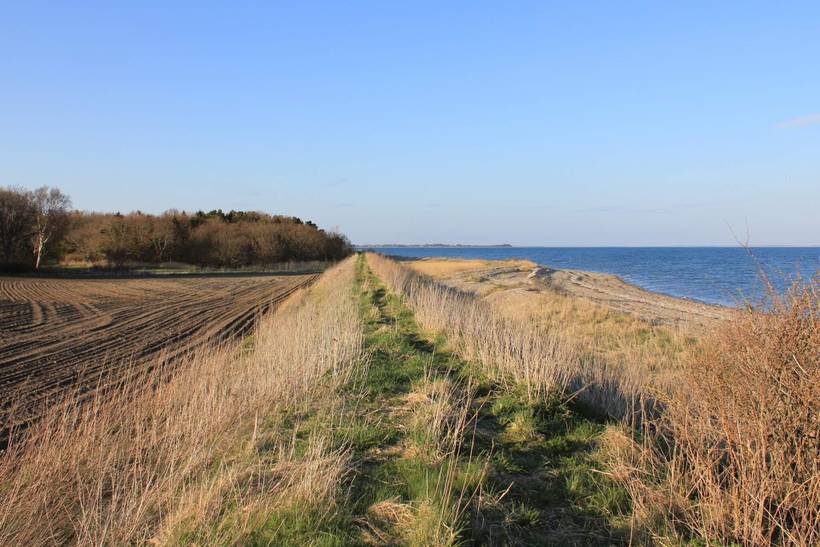 Foto von Ferienhaus CT87 in Serup - Thy/Limfjord