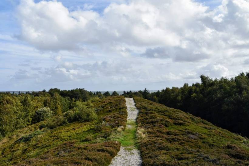Foto von Ferienhaus CT87 in Serup - Thy/Limfjord
