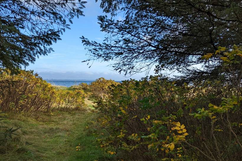 Foto von Ferienhaus CT87 in Serup - Thy/Limfjord