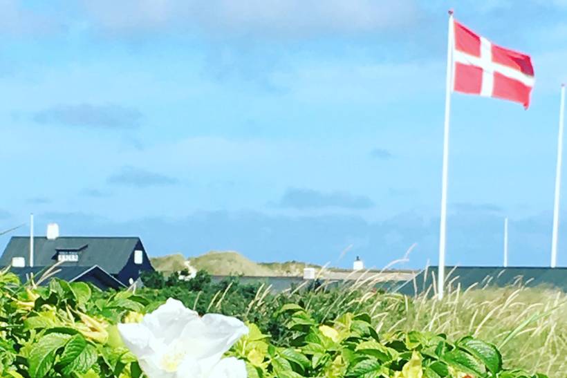 Foto von Ferienhaus CU13 in Gl. - Skagen - Nordjütland