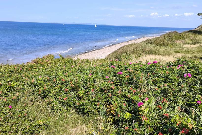 Foto von Ferienhaus CU53 in Gilleleje - Nordseeland