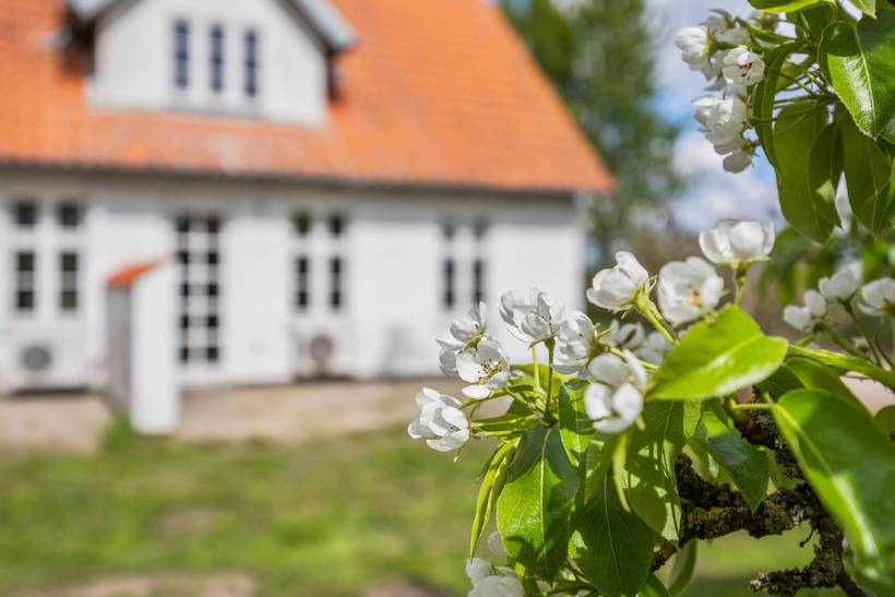 Foto von Ferienhaus CV14 in Højer - Südjütland