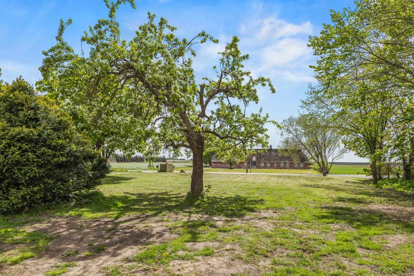 Foto von Ferienhaus CV14 in Højer - Südjütland