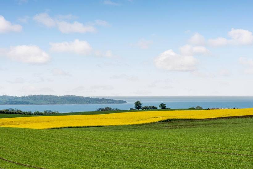 Foto von Ferienhaus CV17 in Fuglsø - Mols - Ostjütland