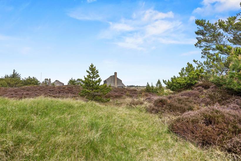 Foto von Ferienhaus CV85 in Grærup - Vejers Strand - Westjütland