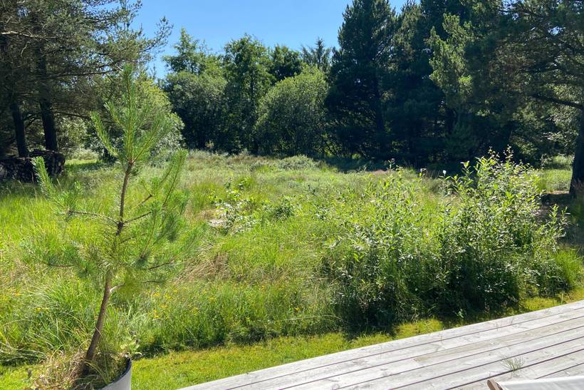 Foto von Ferienhaus CV99 in Bolilmark - Rømø