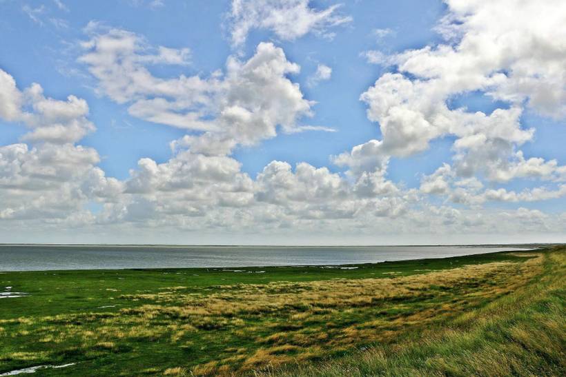Foto von Ferienhaus CX18 in Kongsmark - Rømø
