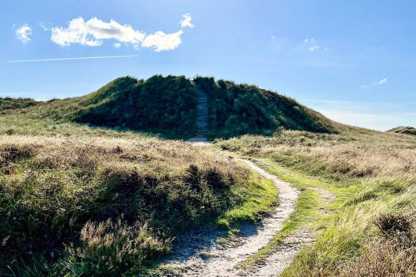 Foto von Ferienhaus CX18 in Kongsmark - Rømø