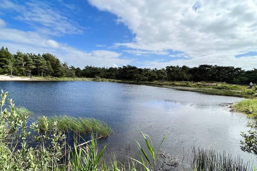 Foto von Ferienhaus CX18 in Kongsmark - Rømø