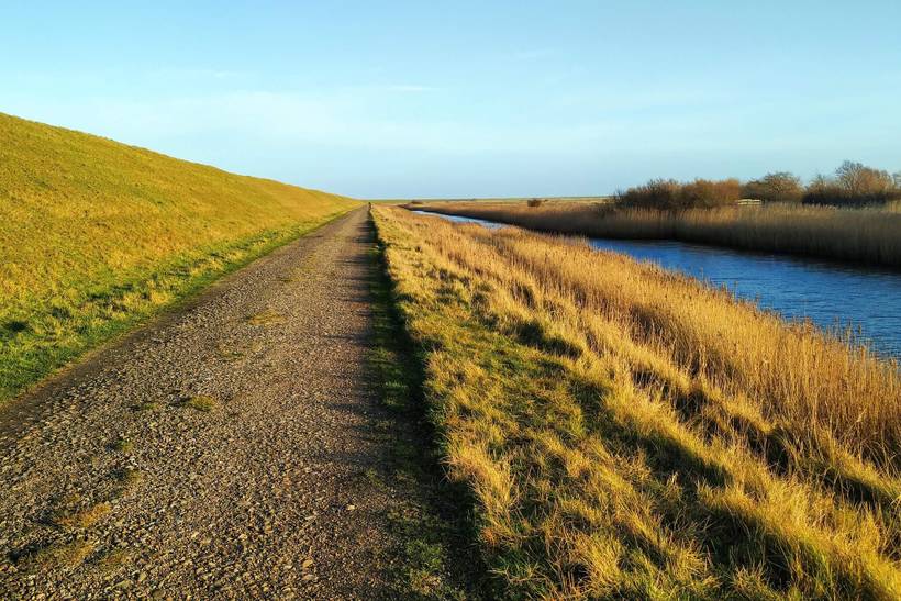Foto von Ferienhaus CX18 in Kongsmark - Rømø