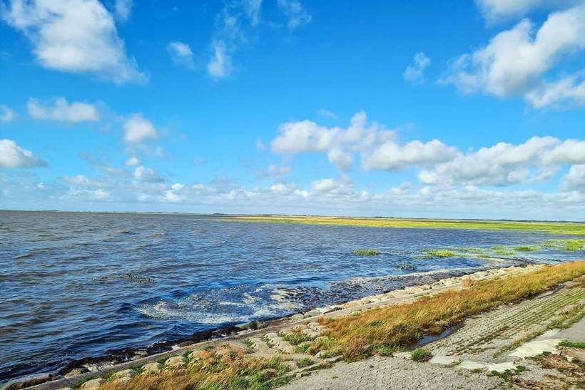 Foto von Ferienhaus CX18 in Kongsmark - Rømø