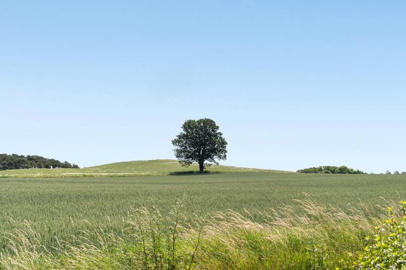 Foto von Ferienhaus CY40 in Skødshoved - Mols - Ostjütland