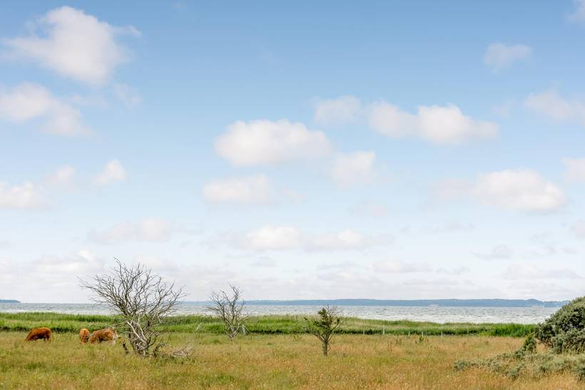 Foto von Ferienhaus CZ14 auf Over Dråby - Nordseeland