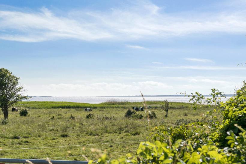 Foto von Ferienhaus CZ14 auf Over Dråby - Nordseeland