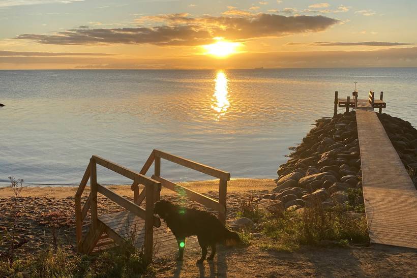 Foto von Ferienhaus CZ49 in Pøt Strandby - Juelsminde - Ostjütland