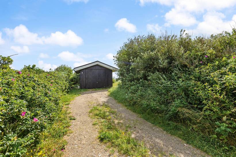 Foto von Ferienhaus CZ69 in Blåvand - Westjütland