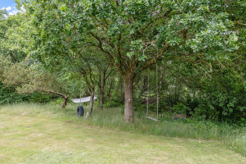 Foto von Ferienhaus CZ79 in Lodbjerg Hede - Søndervig - Westjütland