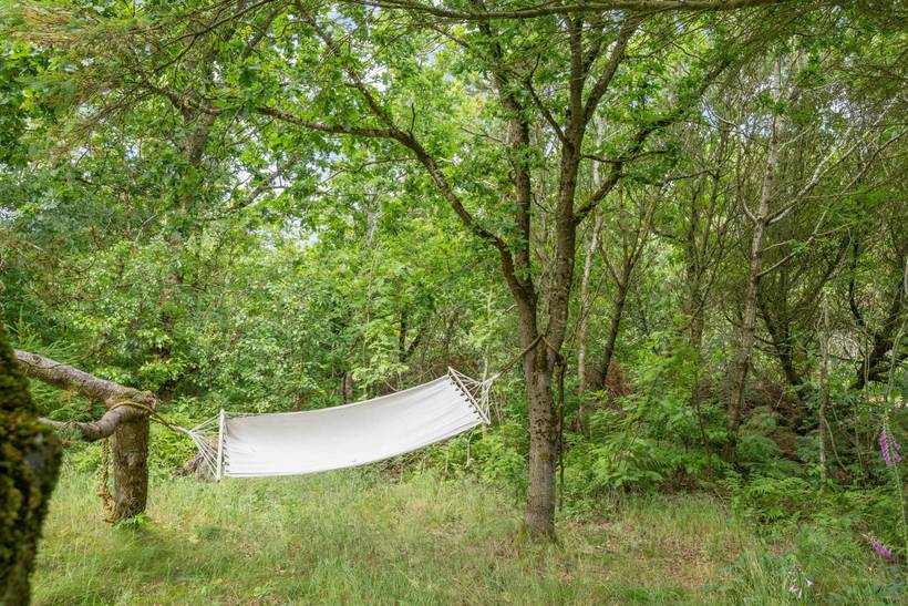 Foto von Ferienhaus CZ79 in Lodbjerg Hede - Søndervig - Westjütland