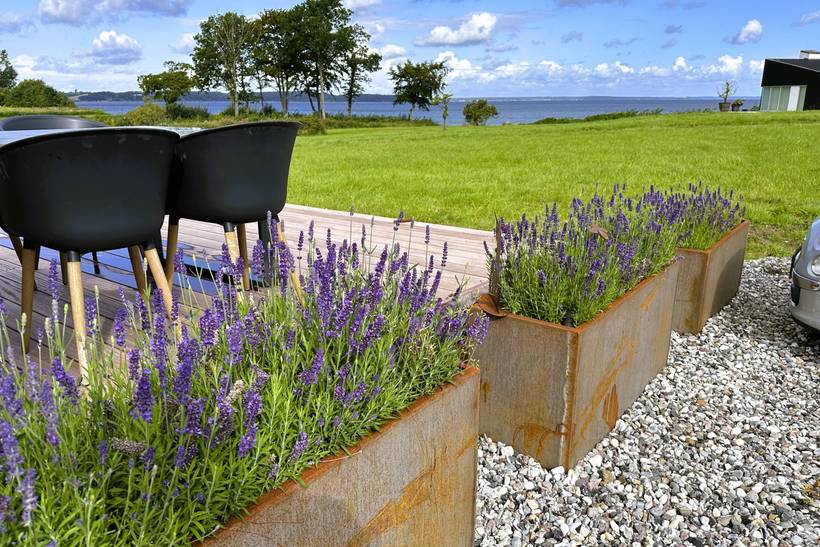 Foto von Ferienhaus CZ91 in Båring Vig - Nordfünen