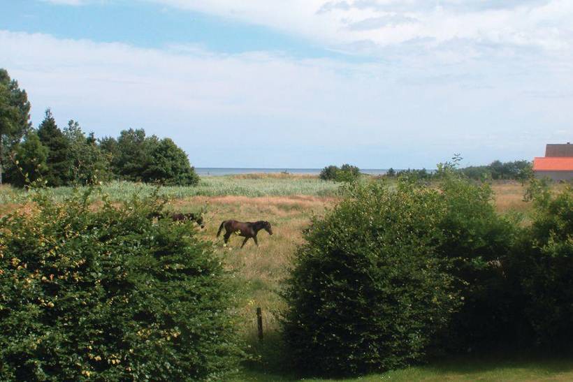Foto von Ferienhaus DA16 in Øster Hurup - Nordjütland Ost