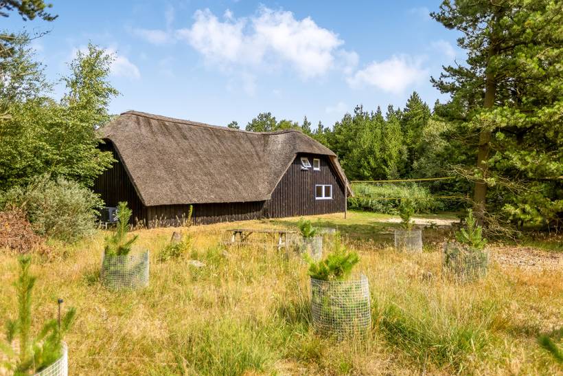 Foto von Ferienhaus DA40 in Sønderstrand - Rømø