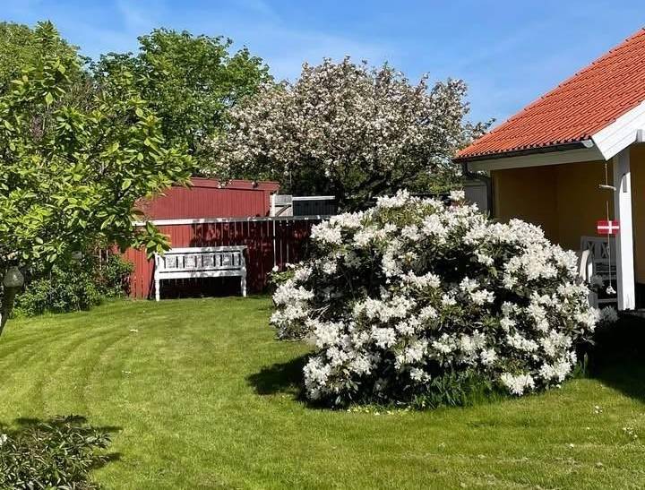 Foto von Ferienhaus DA82 in Østerby - Skagen - Nordjütland