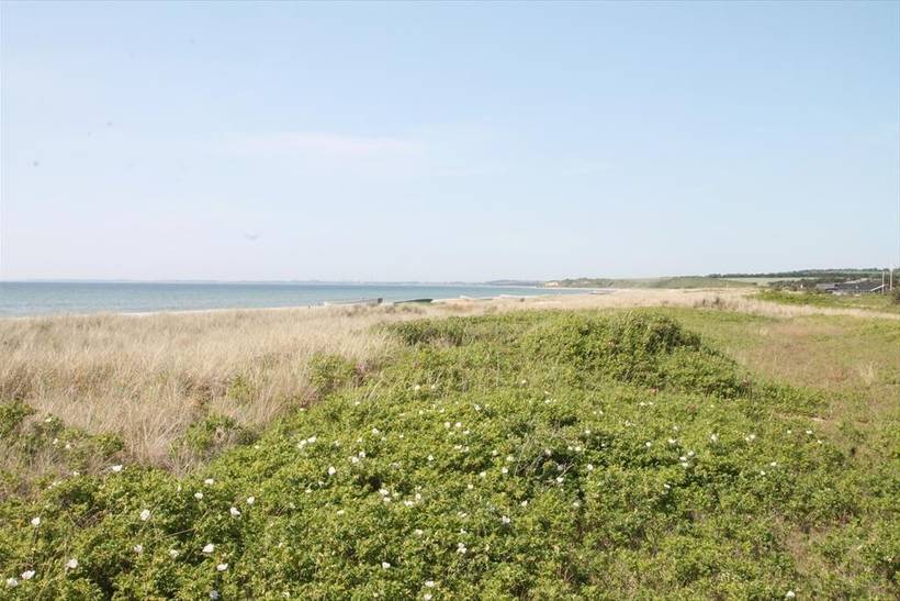 Foto von Ferienhaus DA94 in Bjerge - Westseeland