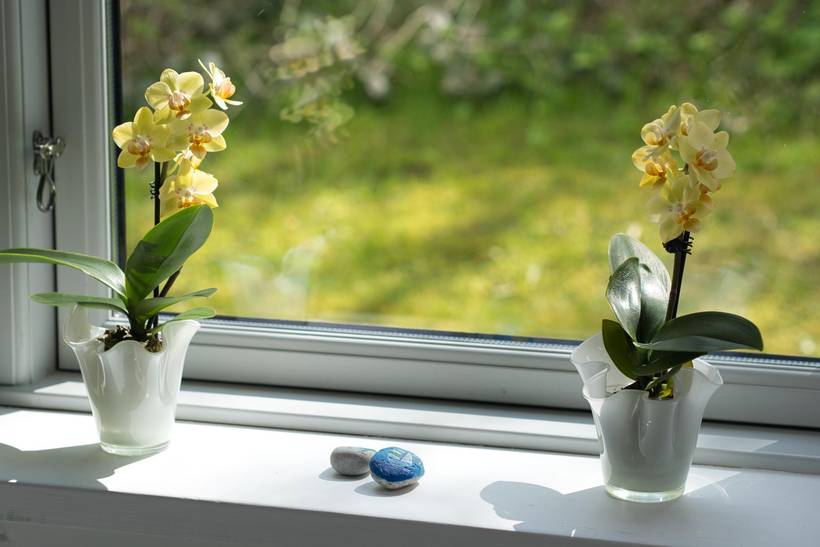 Foto von Ferienhaus DB00 in Varnæs - Südjütland
