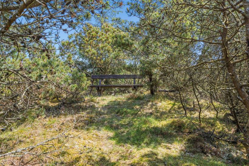 Foto von Ferienhaus DB34 in Blåvand - Westjütland