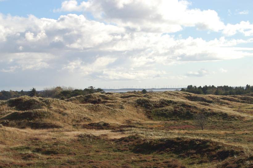 Foto von Ferienhaus DB48 in Sønderstrand - Rømø